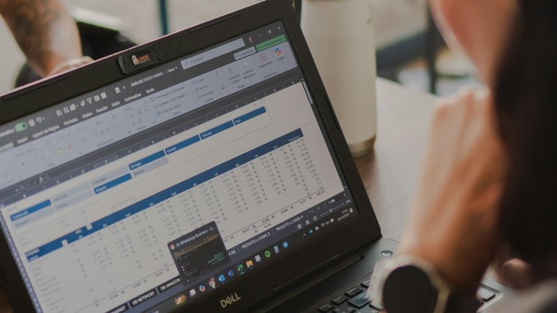 Researcher learning how to clean a graduate research dataset using spreadsheet data
