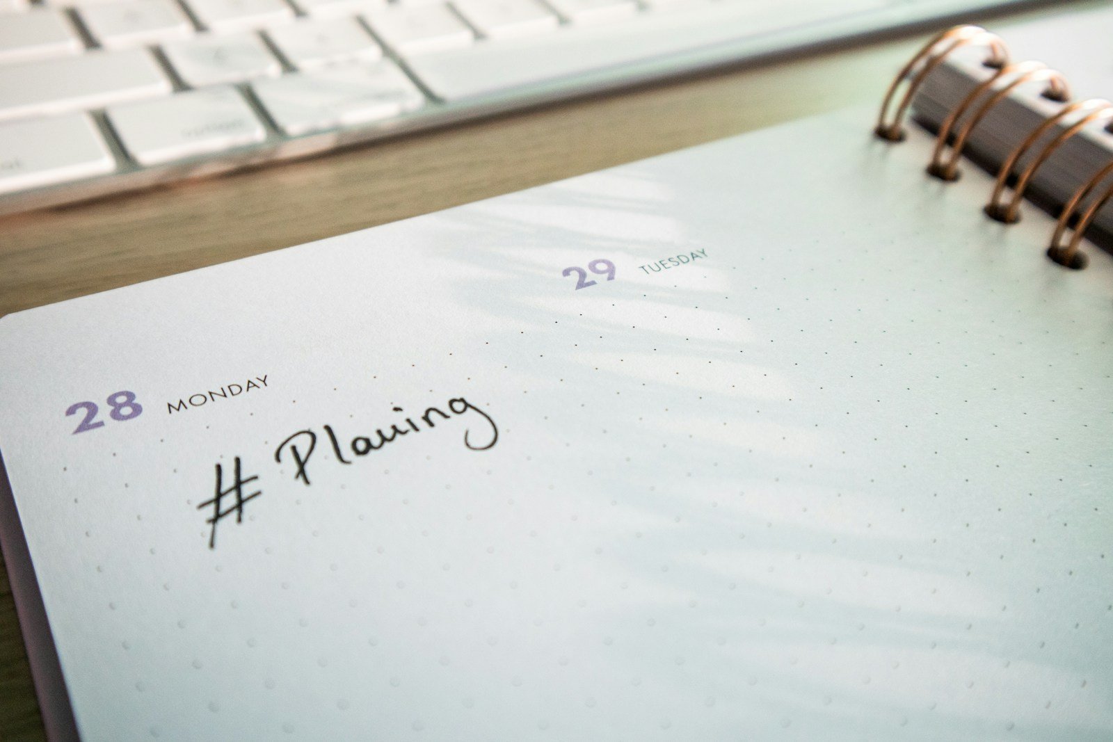 Planner illustrating how to write an assumptions section for a capstone project
